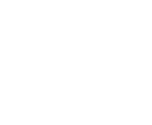 PomPom Photography White